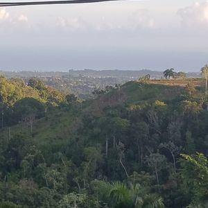 Meet your Posher, Claire